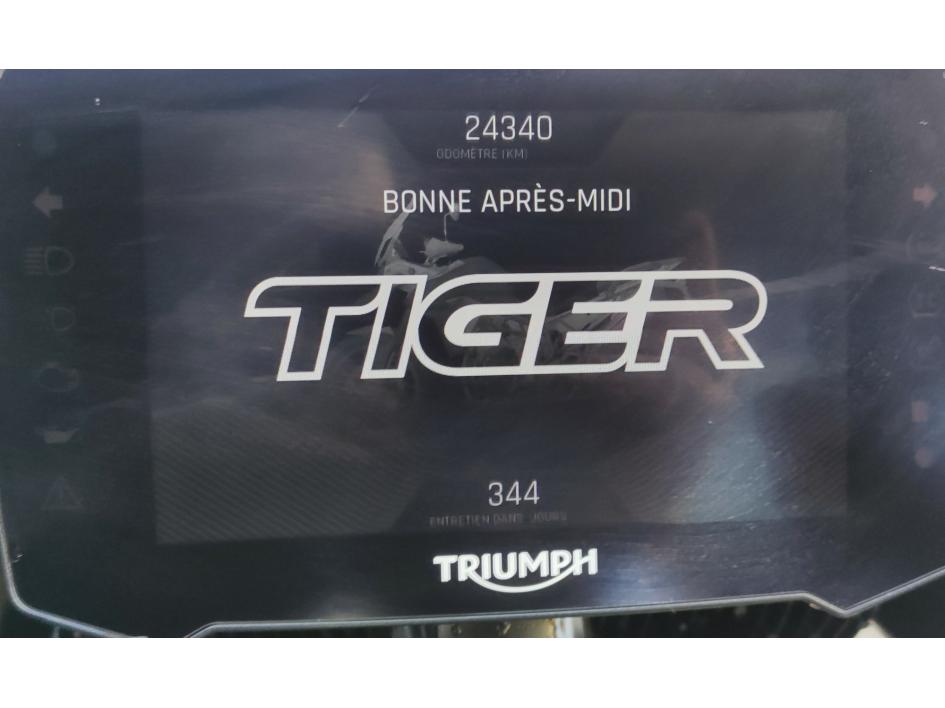 TRIUMPH Tiger 900 GT PRO A2